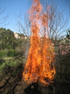 Roaring bonfire